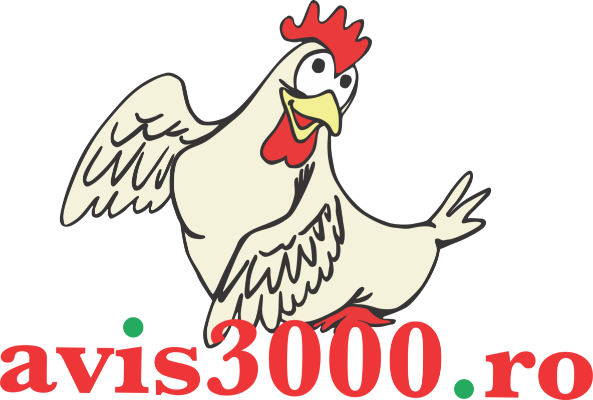 Avis 3000