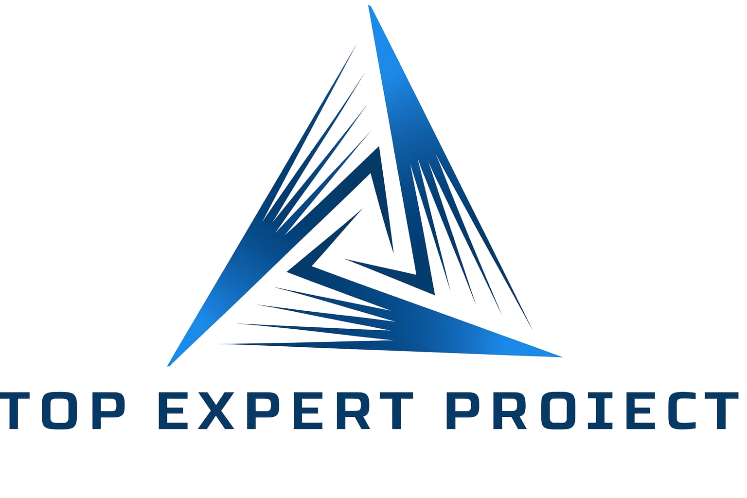 Top Expert
